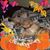 Toni Munch's profile image