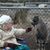 Marsha Gallaher's profile image