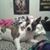 Donavan Michela Evans's profile image