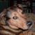 Brenda Milton's profile image