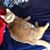 Leann Gilbert's profile image