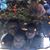 Sherri Northrup's profile image