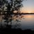 Mary Tedesco-Schneck's profile image