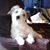 Joe Clark's profile image