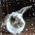 Heather Maxey's profile image