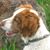 Bill N Jannie Leigh's profile image
