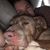 Emily Baker's profile image