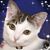 Leslie Kistler Lansky's profile image