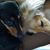 Dorene HOfmann's profile image