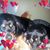 Christina Palmer's profile image