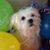 Emily Joven's profile image
