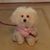 Jane Kaufman McGovern's profile image