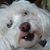 Mary Clarkson Rempel's profile image