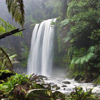 El Joshyn's profile image