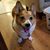 Stefanie Kohl Howard's profile image