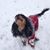 Jen Rosenblum's profile image