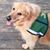 Susan McKenna Perri's profile image