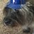 Rachel Dunmire's profile image