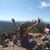 Sherri Mintner's profile image