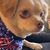 Betsy Whitley's profile image