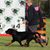 Thomas-Gidget Hudson's profile image