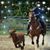 Christine Stiles's profile image