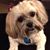 Sara Robertson Lenard's profile image
