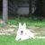 John DeCapua's profile image