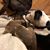 Heidi Busse's profile image