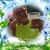 James Mattson's profile image