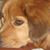 Sudeshna Bandyopadhyay's profile image