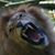 Anne Mare's profile image