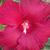 Martha Briggs's profile image