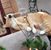 Gail Wilson's profile image