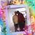 Linda M Jenkins's profile image