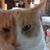 Larissa Stoddard's profile image