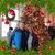 Jeanne Bolton's profile image