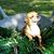 Jana Thorne's profile image