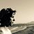 Guillermo Ferrer Hernaez's profile image