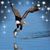 Kerry Joubert's profile image