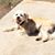 Rpt Dhacheron's profile image