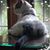 Linda Wilson's profile image