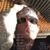 Brent Richards's profile image