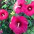 Debby Smith Mitts's profile image