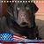 Lisa Sunderman's profile image