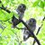 Cindy Wilkerson Gustafson's profile image