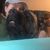 Suzi Tierney's profile image