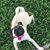 Sherry Pippin's profile image