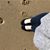 Mary Evans's profile image
