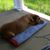 David Pietz's profile image